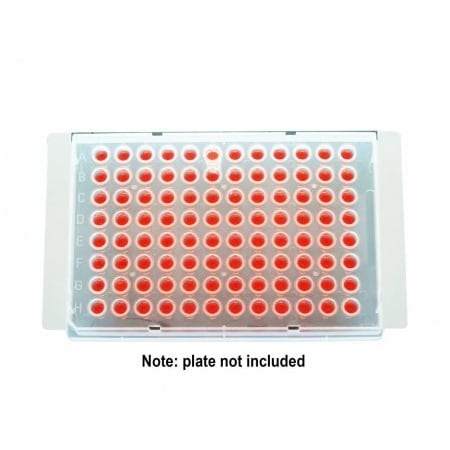 Excel Scientific eXTReme Seal, Large, Clear, Non-Sterile, 100/pk, 100PK 202561